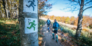 szlak w bieszczadach