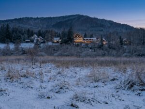 Sylwester Bieszczady